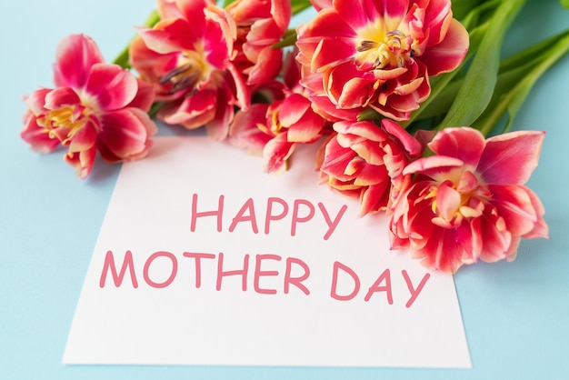 Very beautiful spring tulips on a blue paper background Happy mother day lettering