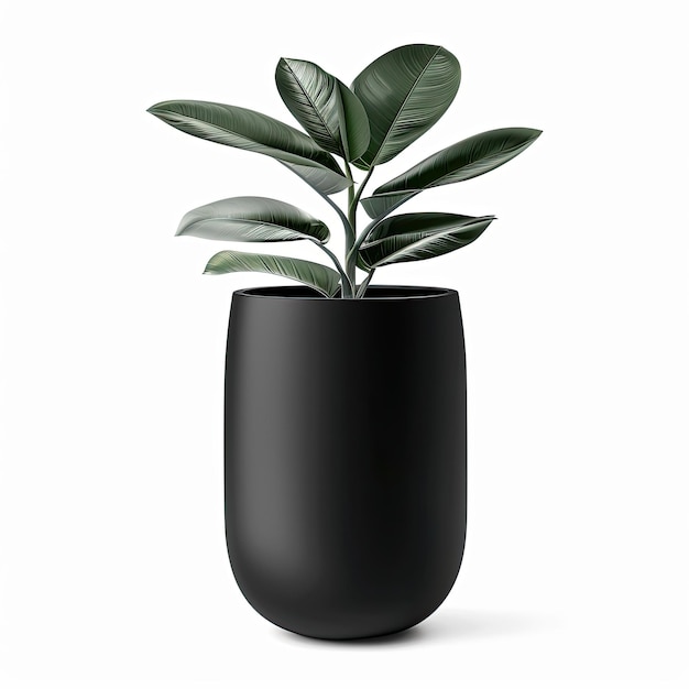 Photo very tall plant pot photography on white background