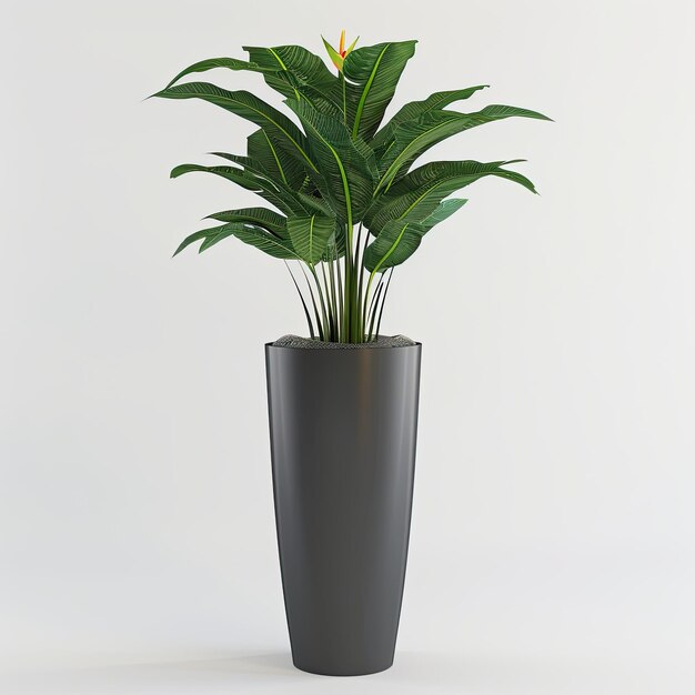 very tall plant pot photography on white background