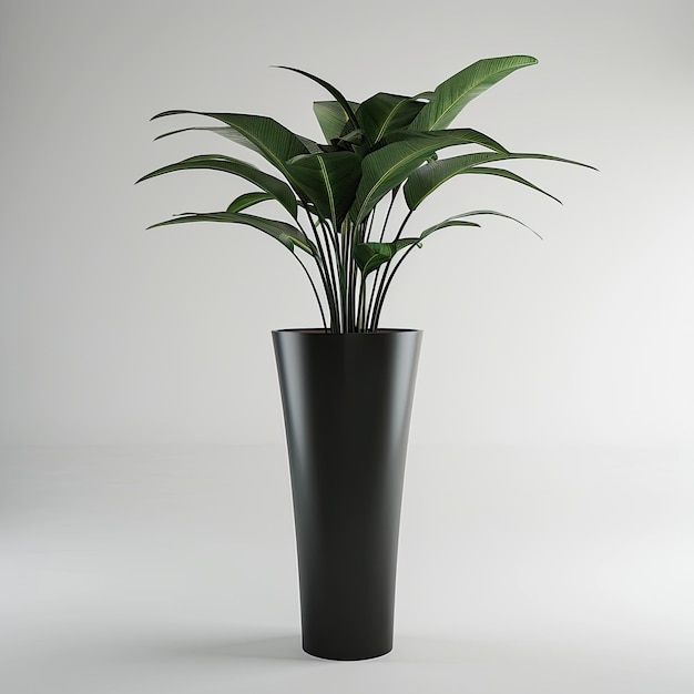 very tall plant pot photography on white background