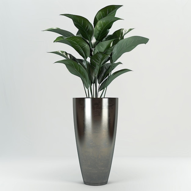 very tall plant pot photography on white background