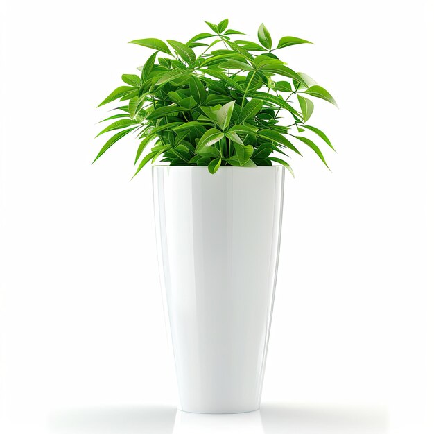 Photo very tall plant pot photography on white background