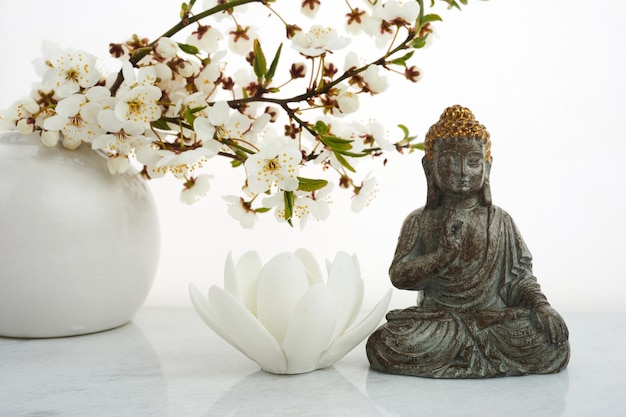 Vesak wesak buddha birthday buddha statue with blossoming cherry on white background spa ritual ment