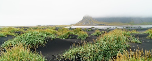 Vesturhorn in summer morning