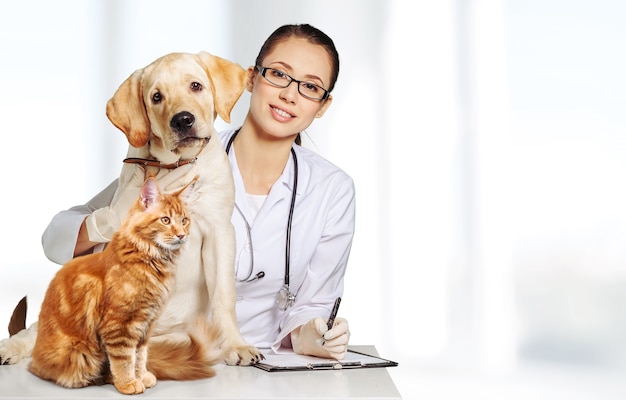 Vet doctor examining dog and cat at the animal clinic.