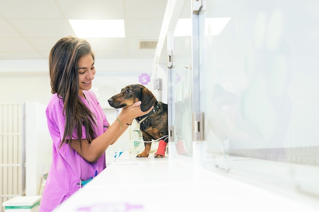 Veterinarian doctor hugging a beautiful dog. Veterinary Concept.