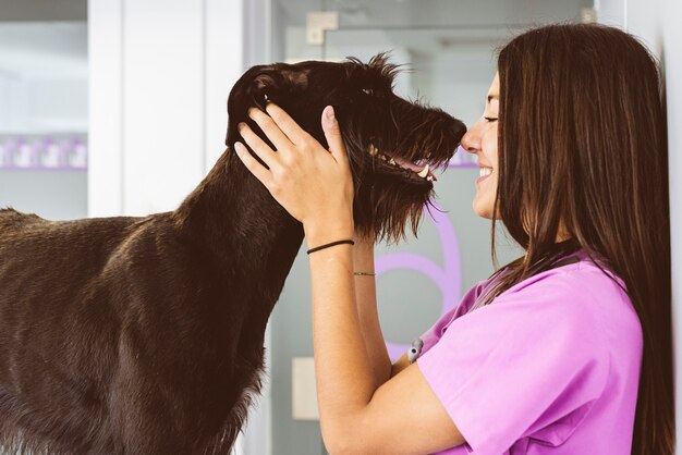 Veterinarian doctor hugging a beautiful dog. Veterinary Concept.