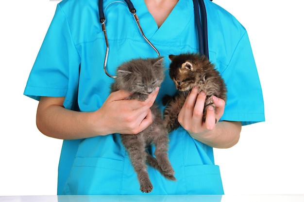 Veterinarian examining kittens isolated on white