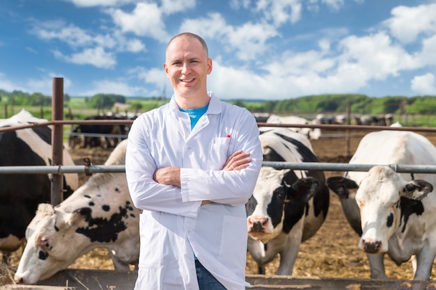 Veterinarian in a white robe on cattle farm