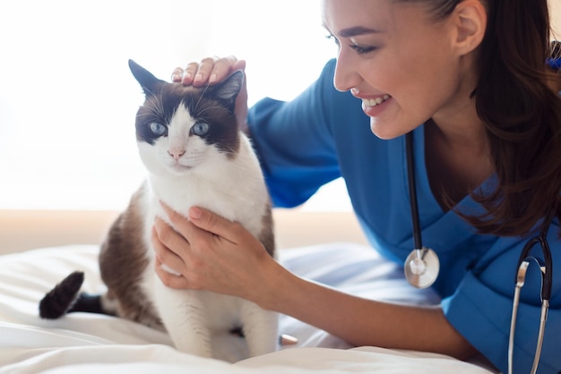 Veterinarian woman comforting a cat during visit at veterinary clinic