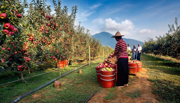 A Vibrant Apple Orchard Scene with Families Picking Apples and a CiderMaking Area in the Background