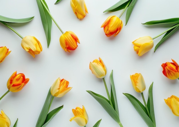 A vibrant arrangement of yellow and orange tulips on a light background showcasing their natural beauty and fresh appearance