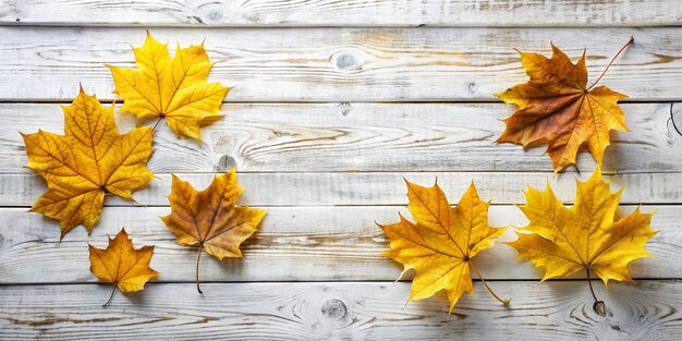 Vibrant Autumn Yellow Leaves on Vintage White Wooden Background