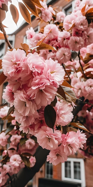 Vibrant Cherry Blossoms