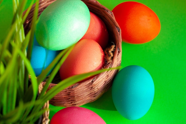 Vibrant colored eggs in a nest and plant