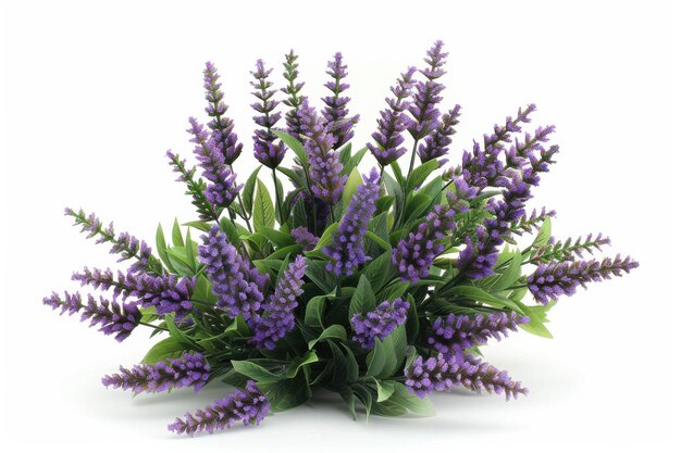 A vibrant display of purple lavender blooms arranged artistically with lush green foliage