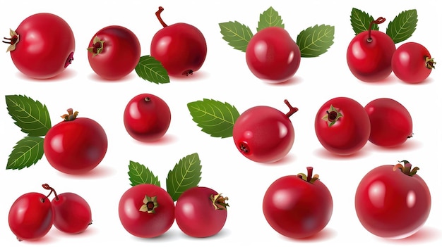 Vibrant and fresh cranberries showcased in a set of isolated icons perfect