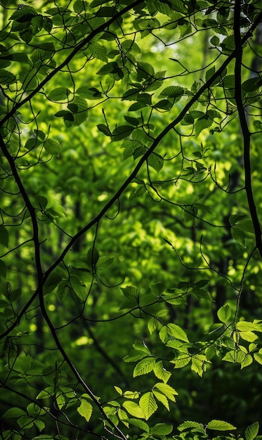 Photo vibrant green leaves fill the frame with tree trunks rising in a dense forest generate ai