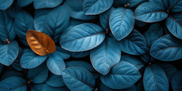 Vibrant Macro Shot of a Lush Leaf in Natural Light