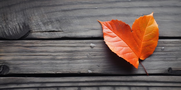 Vibrant Orange Autumn Leaf on Weathered Wooden Surface Captures The Essence of Fall