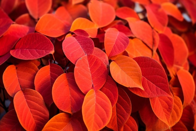 Photo vibrant orange leaves mixed with rich red hues