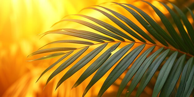 Photo vibrant palm leaf radiating with golden sunlight backdrop