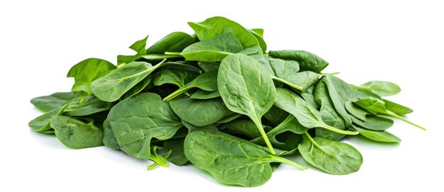 A vibrant pile of fresh spinach leaves crisp and verdant against a stark white background