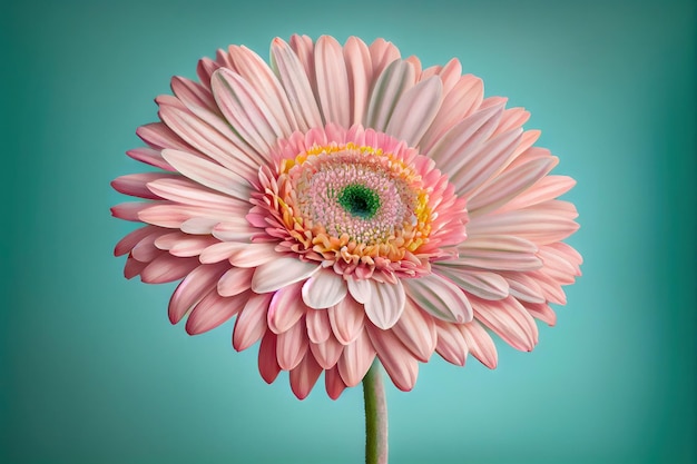 Vibrant Pink Gerbera Flower on Pastel Background Generative AI