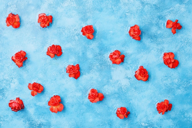 Photo vibrant red roses on blue textured background