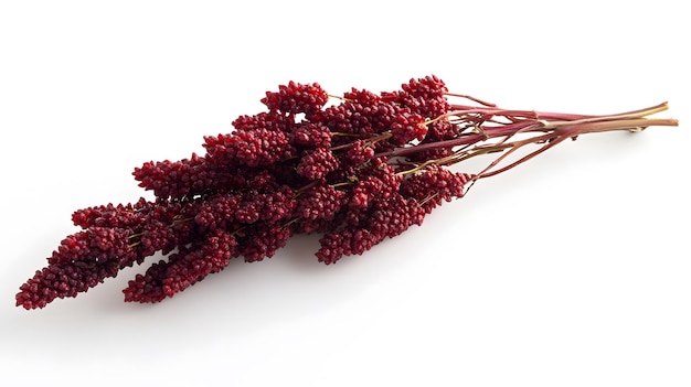 Photo vibrant sumac berries cluster on white background highquality closeup