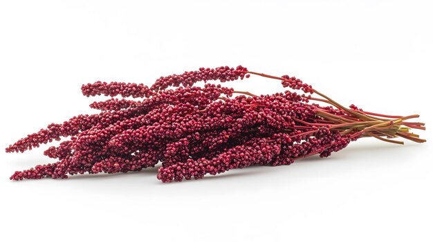 Photo vibrant sumac berries cluster on white background highquality closeup