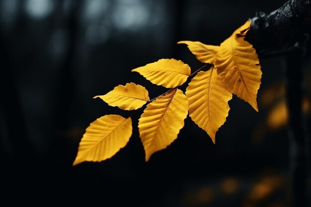 Vibrant yellow leaf on a dark autumn forest branch