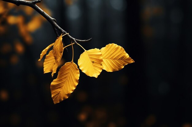 Vibrant yellow leaf on a dark autumn forest branch