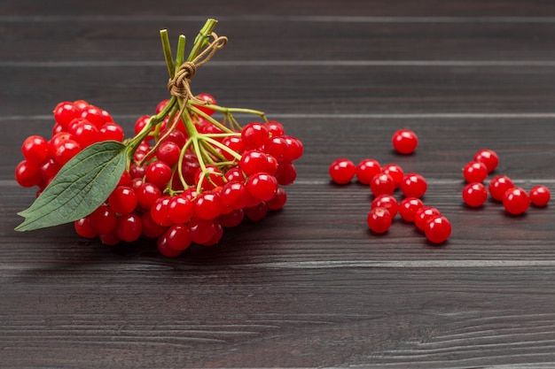 Viburnum twigs tied in bunch. Red berries on table. Dark wooden background. Top view