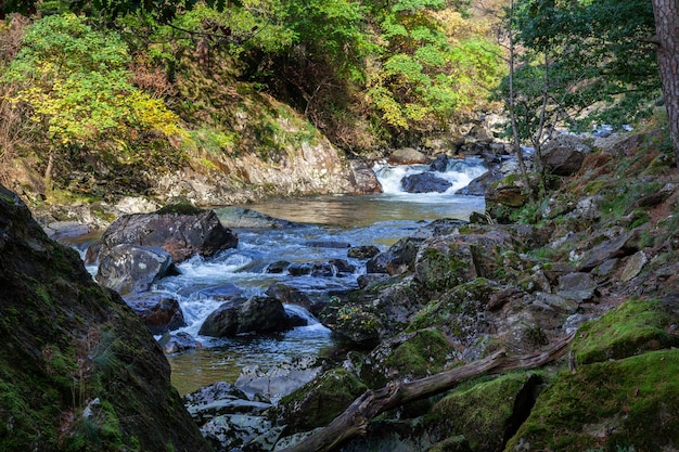 View along the Glaslyn River in Autumn