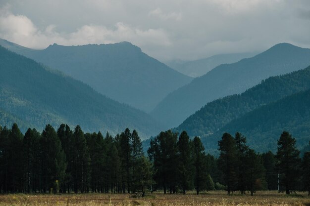 View of the Altai Mountains in the direction of Tyungur