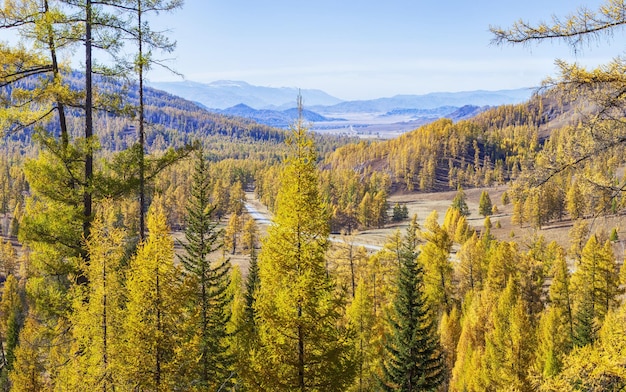 View of autumn nature Picturesque valley trees