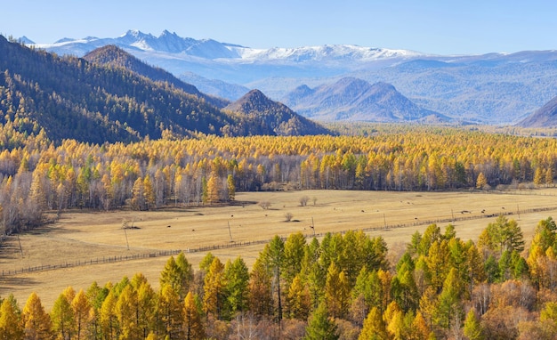 View of autumn nature Picturesque valley