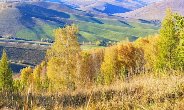 View of autumn nature rural