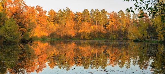 View of the autumn park in beautiful colors