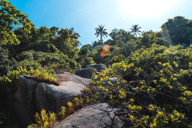 View of the bay and rocks on the islandShark Bay Koh Tao