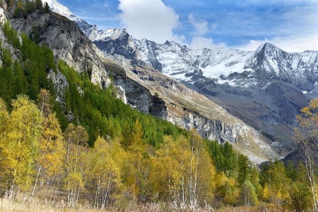 View on beautiful alpine mountain with forest in front and peak snowcapped background