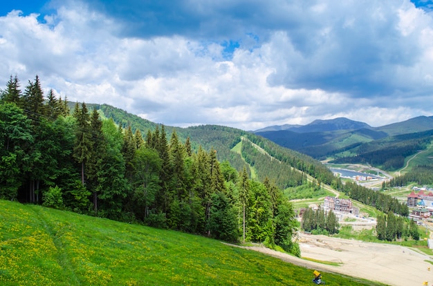 View of the beautiful Carpathian mountains in summer