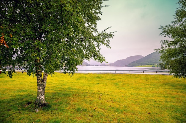 View of a beautiful fjord in rainy weather Beautiful nature of Norway