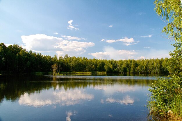 View of the beautiful river and forest