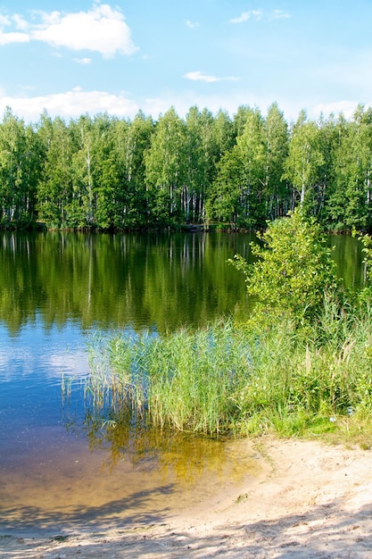 View of the beautiful river and forest