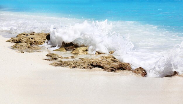 View of beautiful sea beach at resort