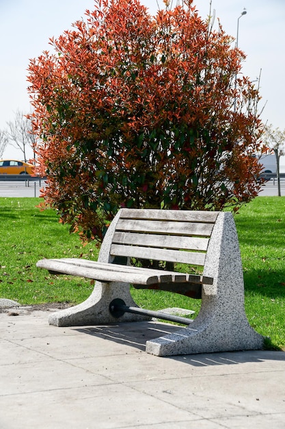 View of a beautiful wooden bench with a stone base in a city park A bench against the background of a large bush with red leaves