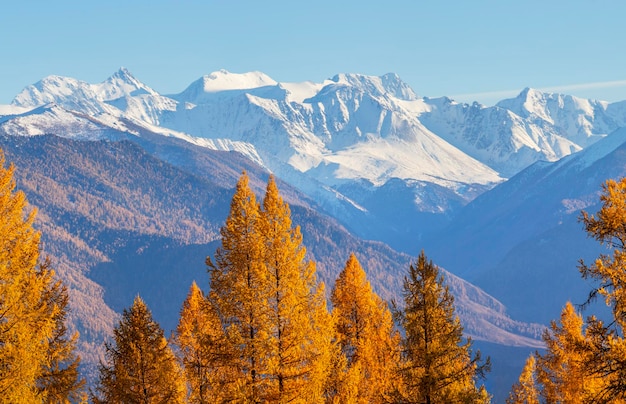 View of Belukha Mountain the main peak of Altai traveling in the mountains climbing