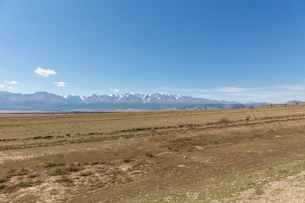 View of Belukha Mountain. Russia. Snow mountains of Altai